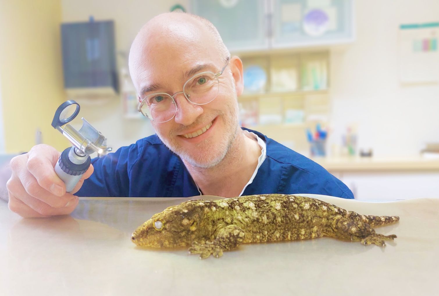 Dr. Kim Heckers Tierarzt