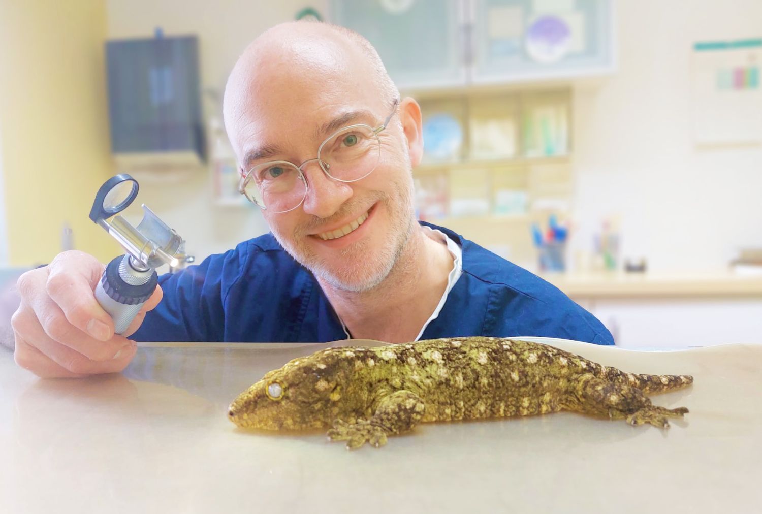 Kim Hecker, Tierarzt